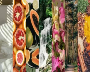 انواع-گروههای-بویایی-در-طبیعت