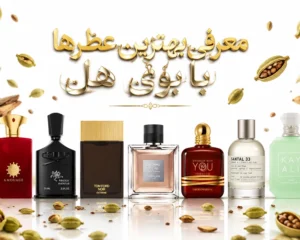 بهترین-عطرهای-نت-هلی-مردانه-و-یونیسکس