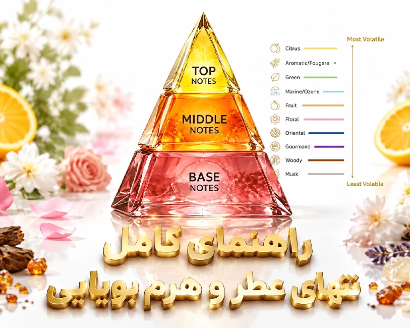 راهنمای کامل نتهای عطر و هرم بویایی — راهنمای خرید عطر از لیلووا