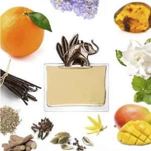 عطر-کنزو-جنگل-فیل.