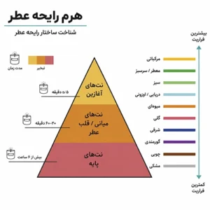 هرم-رایحه-عطر