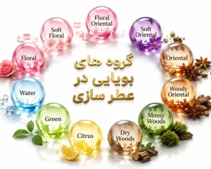 هرم-گروه-بویایی-عطر-