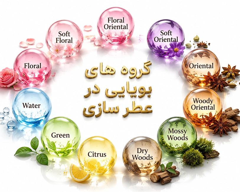 هرم-گروه-بویایی-عطر-