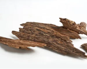 گروه-بویایی-چوبی
