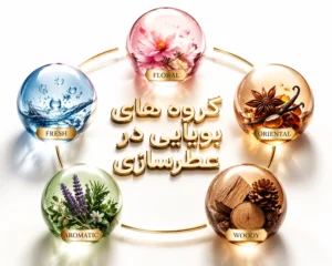گروههای-بویایی-در-عطر-سازی