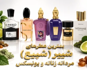 بهترین-عطرها-با-نت-و-گروه-بویایی-شیبر