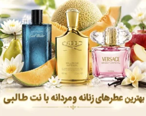 بهترین-عطرهای-مردانه-زنانه-با-نت-طالبی