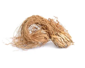 ریشه-علف-وتیور-و-خس-خس-در-عطر-سازی-.