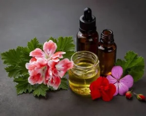 نت-شمعدانی-به-همراه-روغن-اسانس-معطر