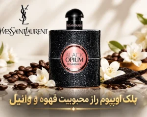 عطر-بلک-اوپیوم-بررسی-نت-قهوه-و-وانیل