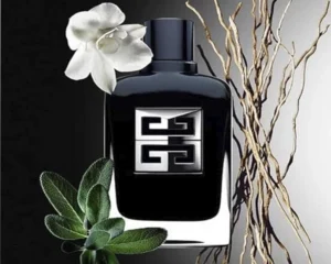 عطر-جنتلمن-سوسایتی-