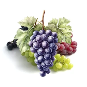 نت-انگور-در-عطرسازی